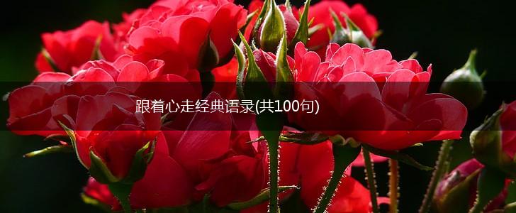 跟着心走经典语录(共100句),第1张