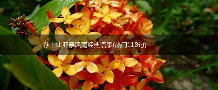 莎士比亚暴风雨经典语录(热门118句),第1张