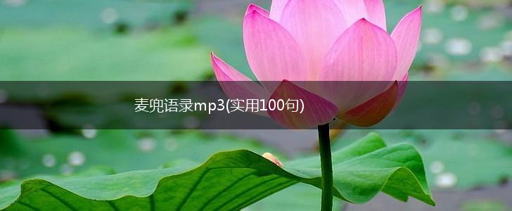 麦兜语录mp3(实用100句),第1张