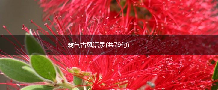 霸气古风语录(共79句),第1张