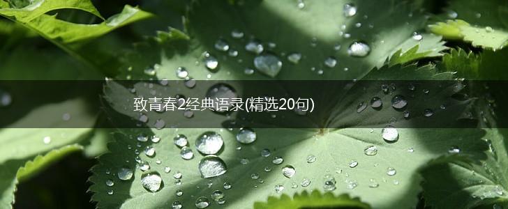 致青春2经典语录(精选20句),第1张