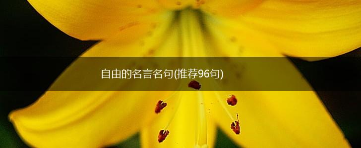 自由的名言名句(推荐96句),第1张