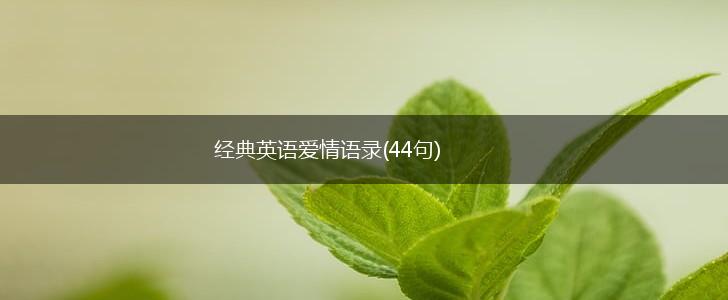 经典英语爱情语录(44句),第1张