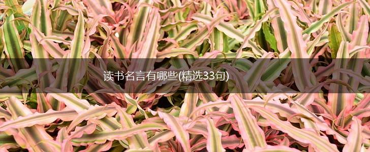 读书名言有哪些(精选33句),第1张