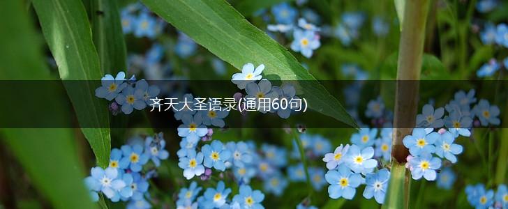 齐天大圣语录(通用60句),第1张