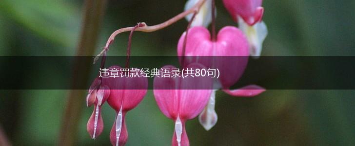 违章罚款经典语录(共80句),第1张