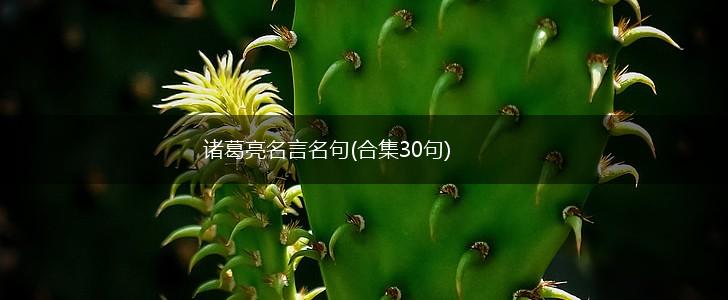 诸葛亮名言名句(合集30句),第1张 诸葛亮名言名句(合集30句),第1张