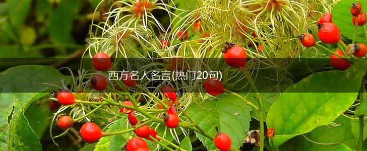 西方名人名言(热门20句),第1张 西方名人名言(热门20句),第1张