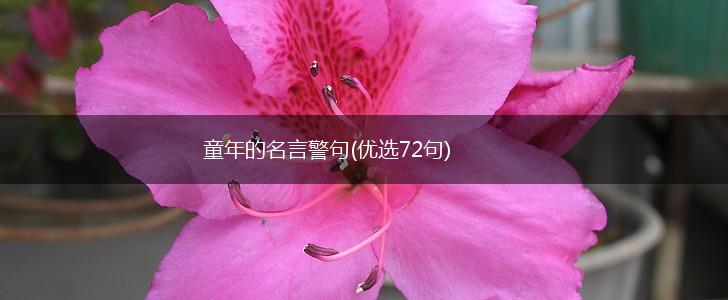 童年的名言警句(优选72句),第1张