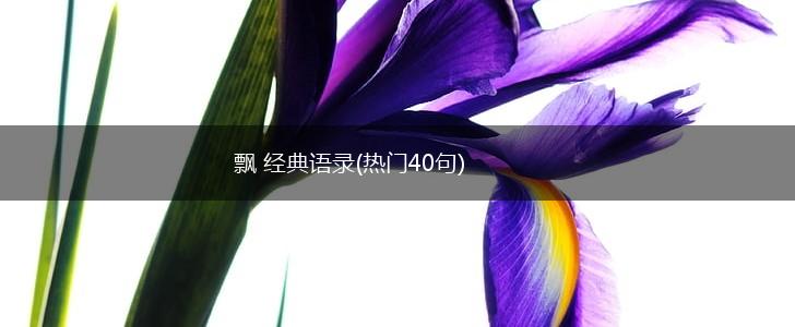 飘 经典语录(热门40句),第1张