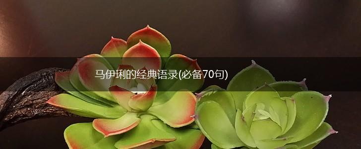 马伊琍的经典语录(必备70句),第1张