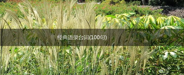 经典语录台词(100句),第1张