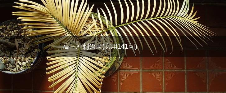 高三冲刺语录(实用141句),第1张