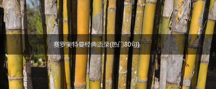 赛罗奥特曼经典语录(热门80句),第1张