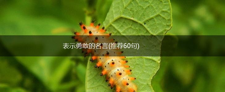 表示勇敢的名言(推荐60句),第1张 表示勇敢的名言(推荐60句),第1张