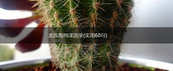 龙族路鸣泽语录(实用60句),第1张