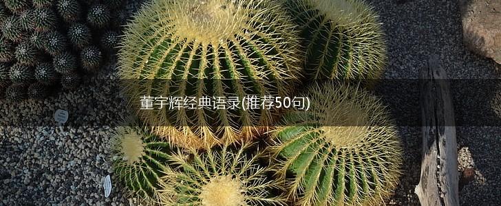 董宇辉经典语录(推荐50句),第1张