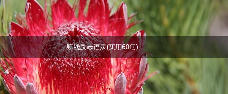 赚钱励志语录(实用60句),第1张