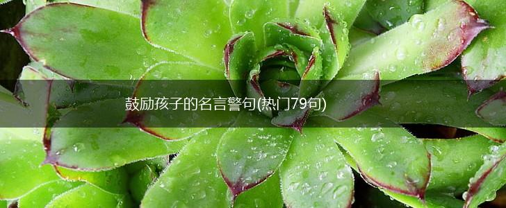 鼓励孩子的名言警句(热门79句),第1张