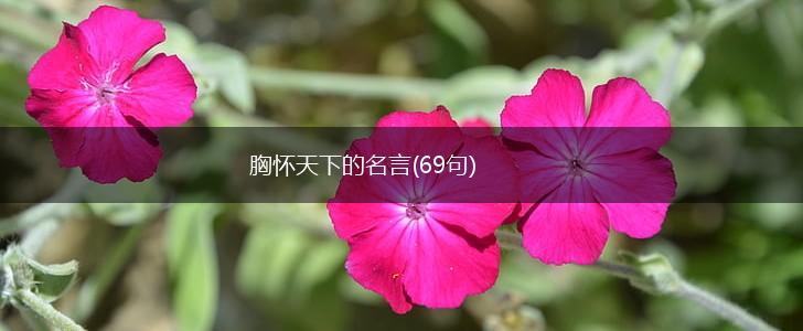 胸怀天下的名言(69句),第1张