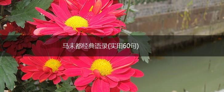 马未都经典语录(实用60句),第1张