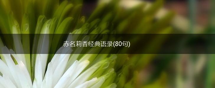 赤名莉香经典语录(80句),第1张