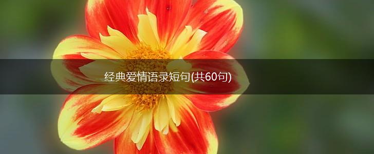 经典爱情语录短句(共60句),第1张