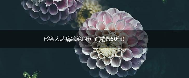 形容人悲痛欲绝的句子(精选50句),第1张