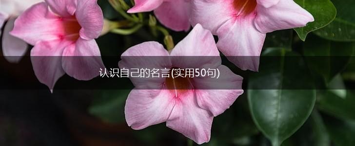 认识自己的名言(实用50句),第1张 认识自己的名言(实用50句),第1张