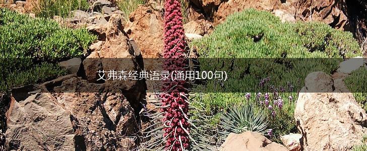 艾弗森经典语录(通用100句),第1张