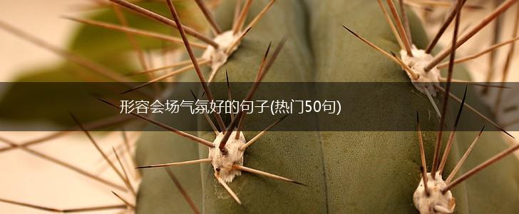 形容会场气氛好的句子(热门50句),第1张
