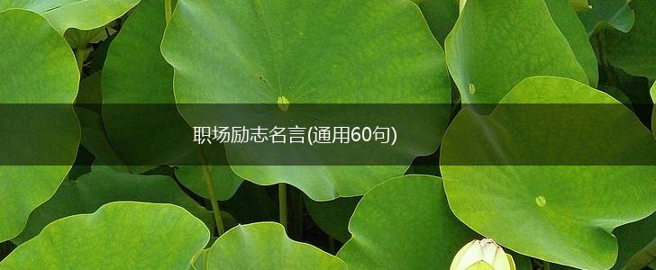 职场励志名言(通用60句),第1张