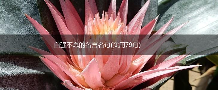 自强不息的名言名句(实用79句),第1张