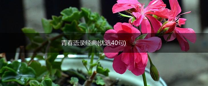 青春语录经典(优选40句),第1张