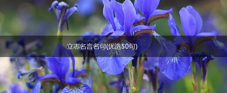 立志名言名句(优选50句),第1张