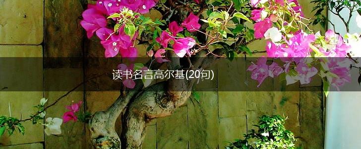 读书名言高尔基(20句),第1张