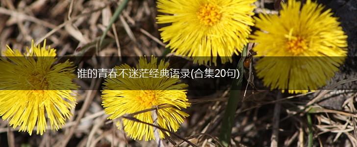 谁的青春不迷茫经典语录(合集20句),第1张