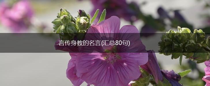言传身教的名言(汇总80句),第1张