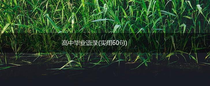高中毕业语录(实用60句),第1张