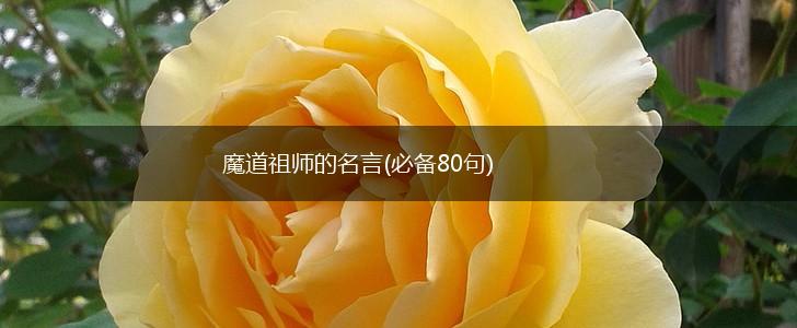 魔道祖师的名言(必备80句),第1张