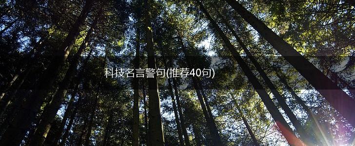 科技名言警句(推荐40句),第1张 科技名言警句(推荐40句),第1张