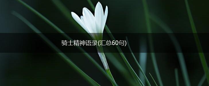 骑士精神语录(汇总60句),第1张