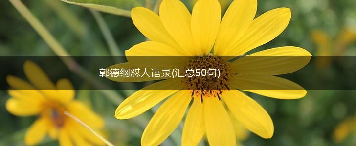 郭德纲怼人语录(汇总50句),第1张