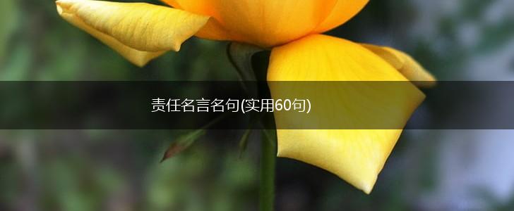 责任名言名句(实用60句),第1张 责任名言名句(实用60句),第1张