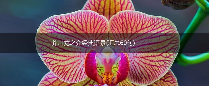 芥川龙之介经典语录(汇总60句),第1张