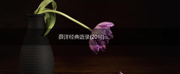 薛洋经典语录(20句),第1张