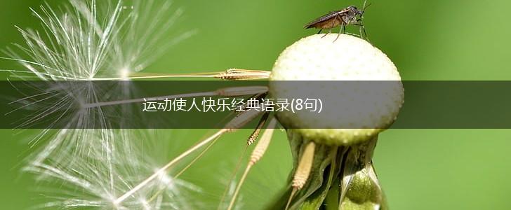 运动使人快乐经典语录(8句),第1张