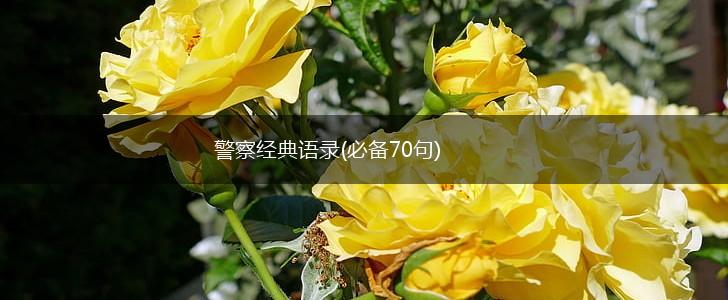 警察经典语录(必备70句),第1张