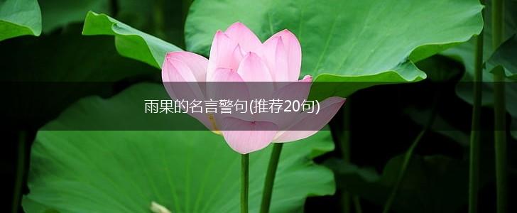 雨果的名言警句(推荐20句),第1张