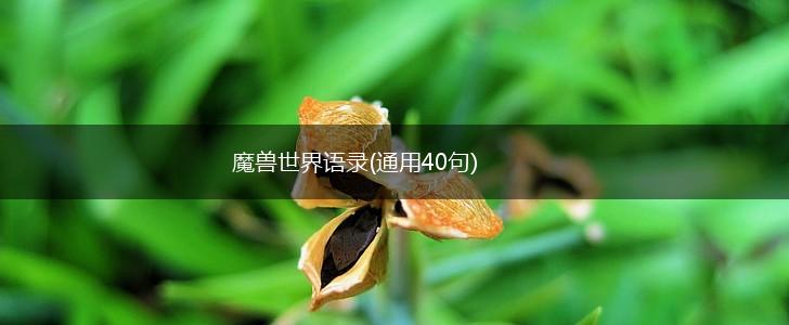 魔兽世界语录(通用40句),第1张